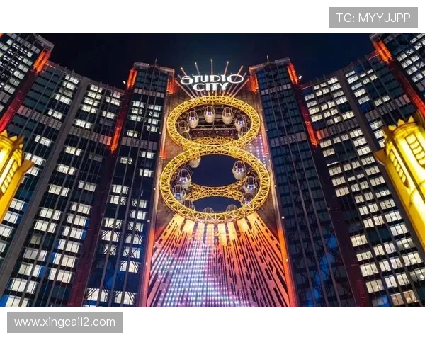 探索新濠官方赌场的独特魅力与娱乐选择